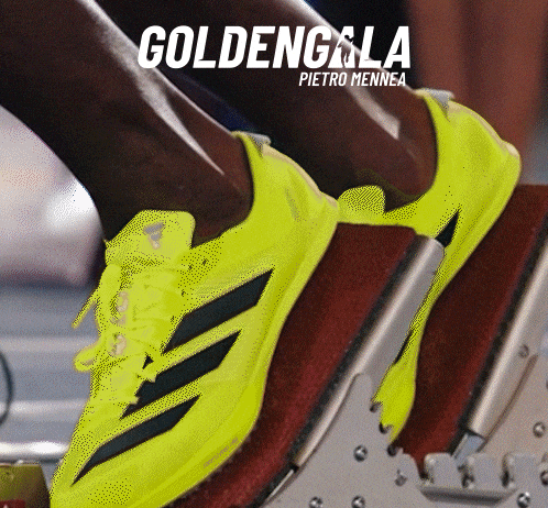 Golden Gala GIF 3